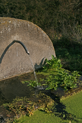 Fontanili del Lazio